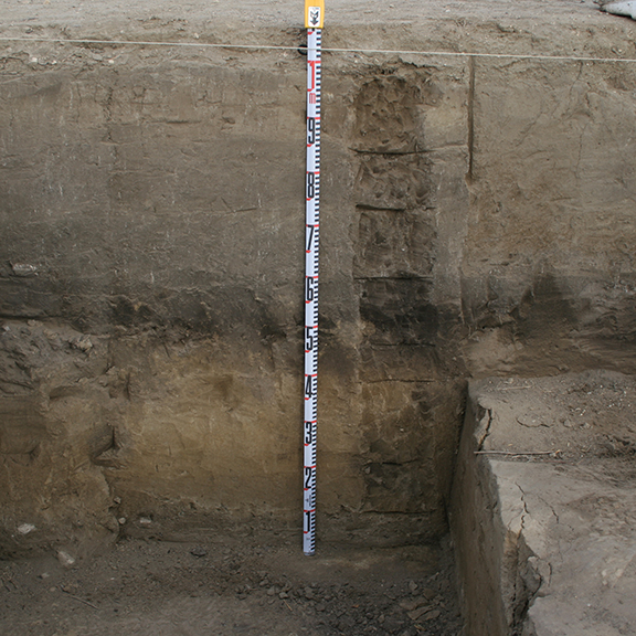 Geoarchaeological profile of the west block. The dark brown band in the middle is the Aggie Brown member.