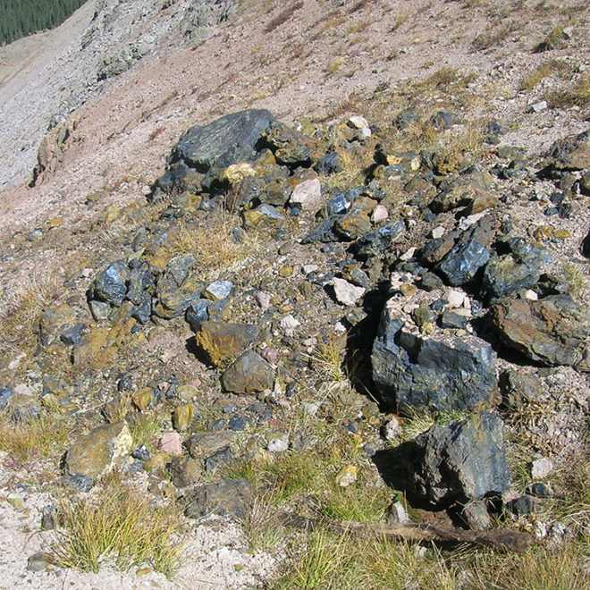 Chert outcrop near the site