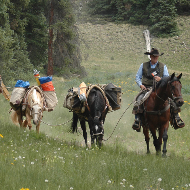 Horse team hauling gear to the site