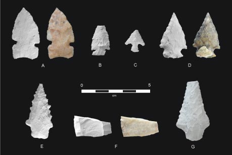 Selected projectile points from the Scott Miller site. See report for types.