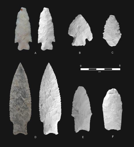 Selected projectile points from the Scott Miller site. See report for types.